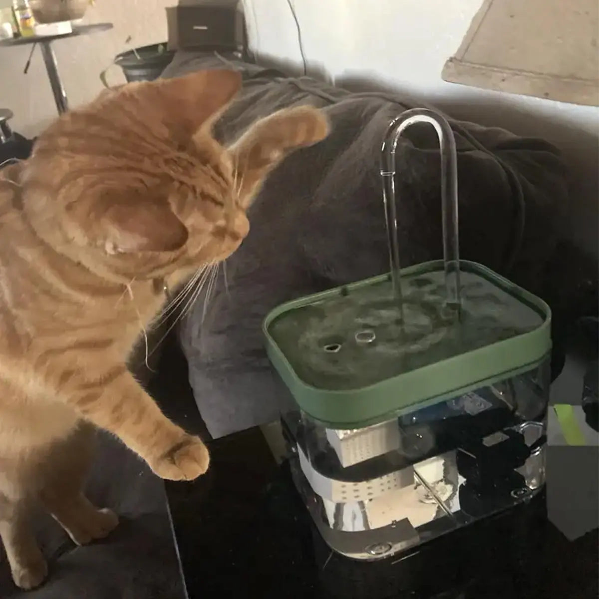 Automatic USB Pet Water Fountain - Silent Drinking Water Dispenser for Cats and Dogs (USB Plug-In Required)